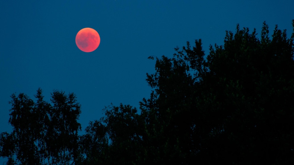 Mondfinsternis vor Bäumen | Bild: Luis Gutwein