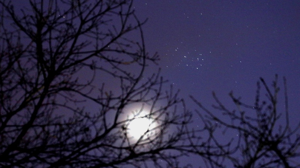 Planet Venus am 10. April 2015 in der Nähe der Plejaden, etwa zwei Grad (ein Fingerbreit) Abstand | Bild: Dieter Küspert