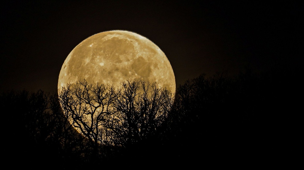 Der Vollmond hinter einer Baumkrone, schön in Szene gesetzt von Dieter Kohlruss. | Bild: Dieter Kohlruss