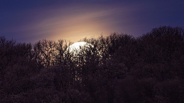 Der Vollmond geht hinter Bäumen unter, schön in Szene gesetzt von Dieter Kohlruss. | Bild: Dieter Kohlruss