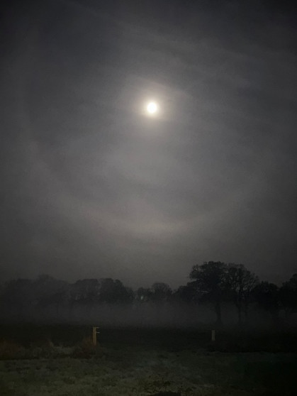 Ein großer Mondhof umringt den fast schon vollen Mond am 12. November 2024. Zu dieser Aufnahme schreibt Silke Harms aus Friedeburg: "Nachts bei uns mit Nebel auf der Weide." | Bild: Silke Harms